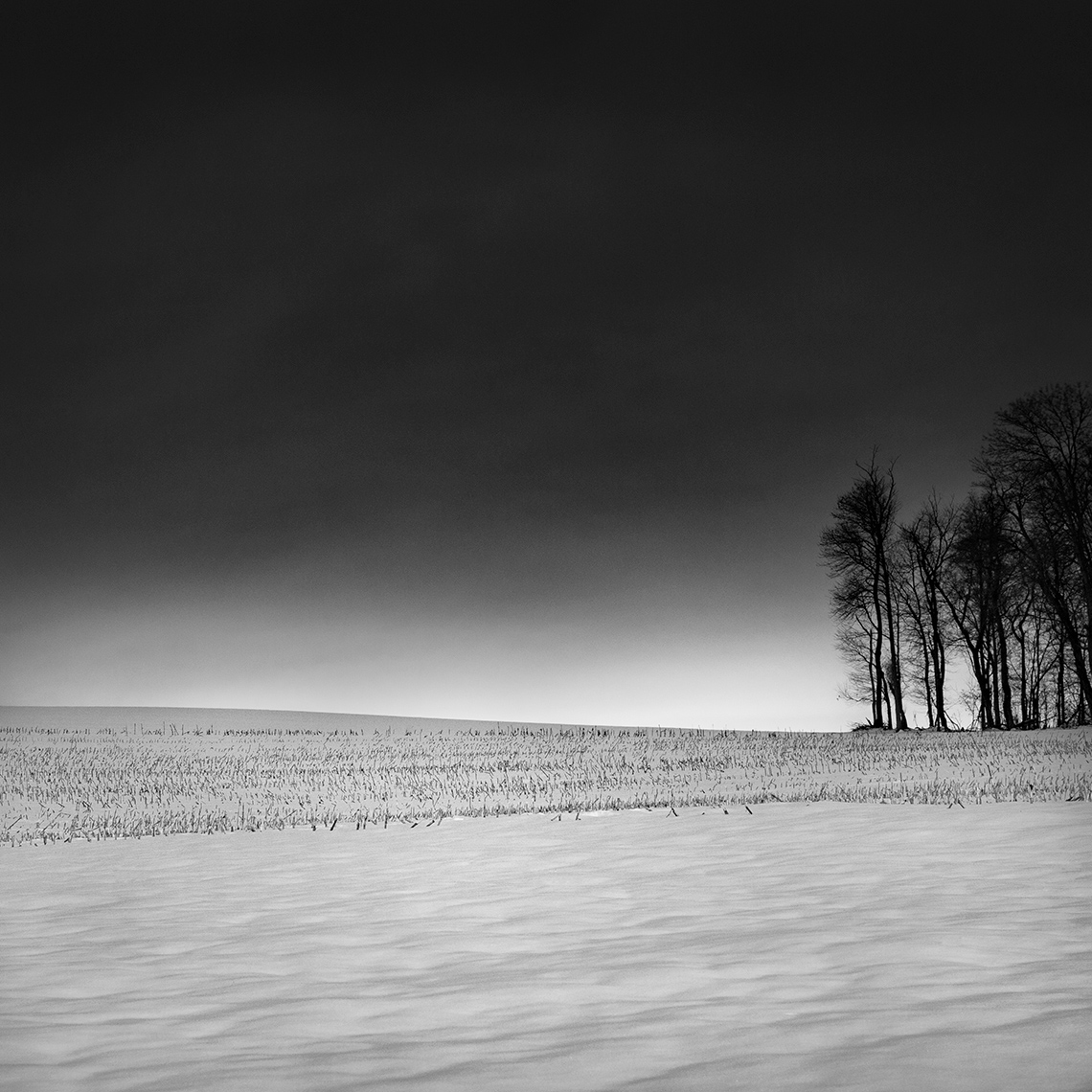 NewDanvilleSky